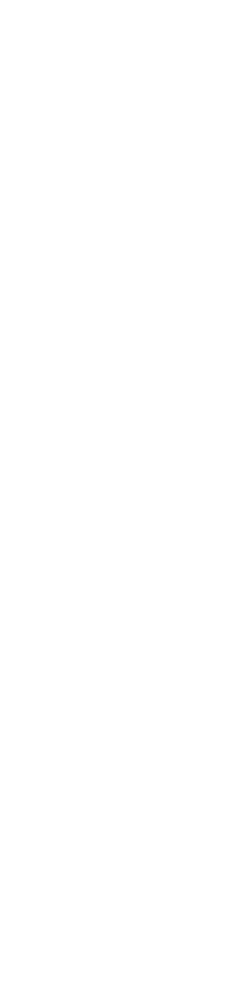 鳥しき ICHIMON